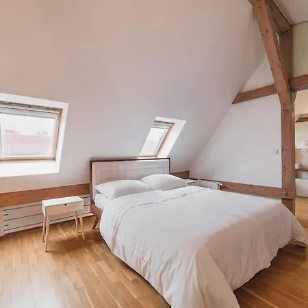 Apartment Loft Spirit Prague